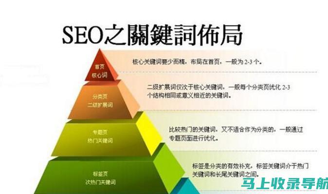 提升网站流量和知名度：免费下载谷歌 SEO 入门指南