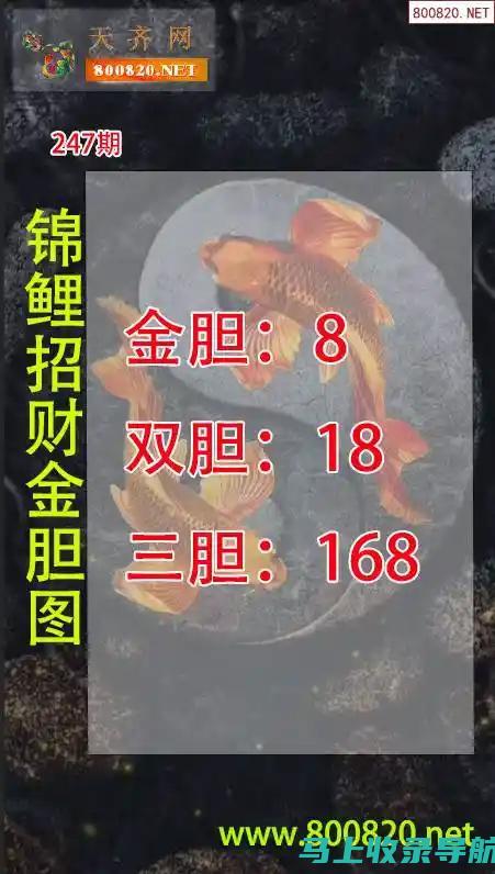 站长统计中的机器学习：洞察网站行为趋势，推动增长