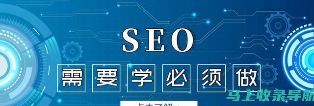 SEO 面试指南：从简历优化到笔试攻略