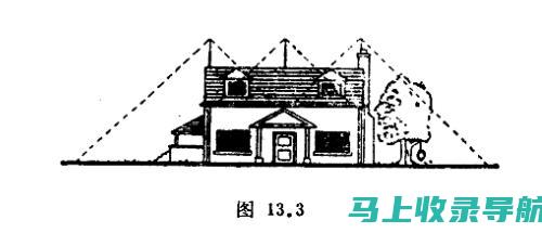 站长避雷指南：教你避免网站优化中的常见陷阱