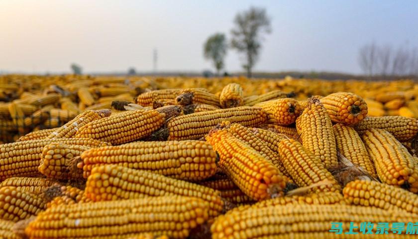 为粮食安全保驾护航：范东升，陕西省种子站的守护神