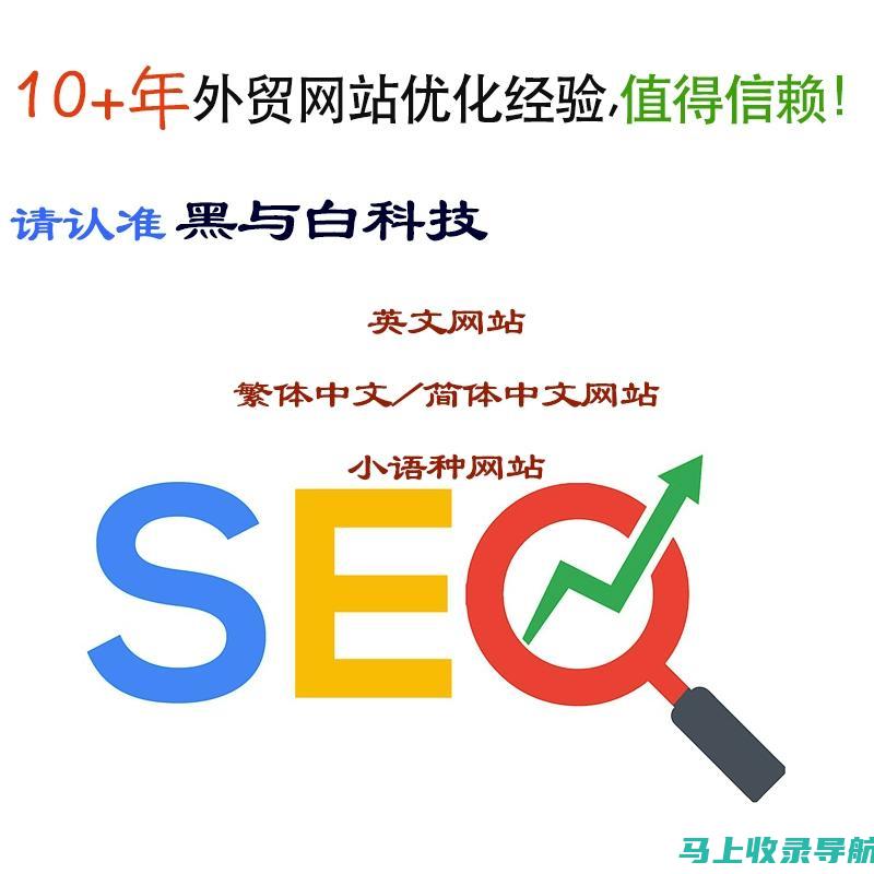 外贸 SEO 技能提升：持续培训确保您的知识与时俱进