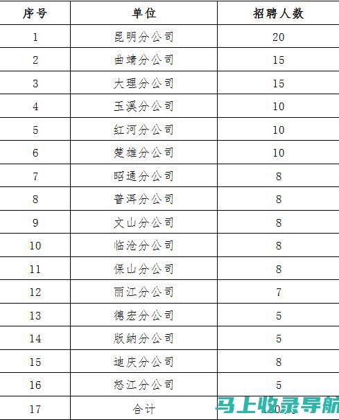 中石化后备站长编制发展路径：从基层到高管的晋升之路