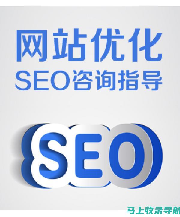 与SEO专家合作：谷歌SEO运营方案设计中的专业指导