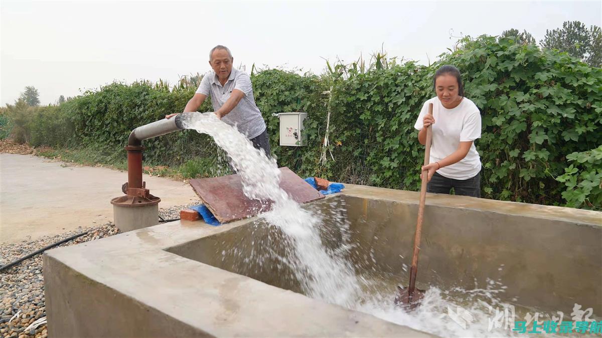 乾县农经站长的产业结构调整：打造农业强县