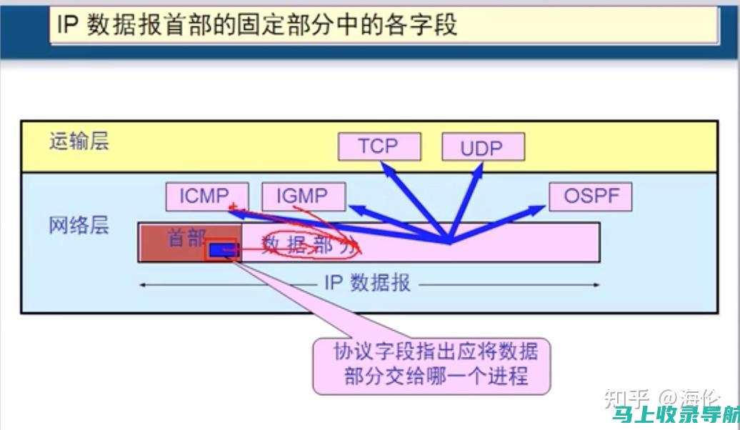 利用Ping站长服务，优化你的网络连接体验