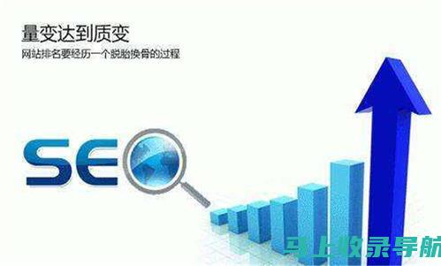 武汉SEO公司运营技巧：为您的网站打造持久的在线形象