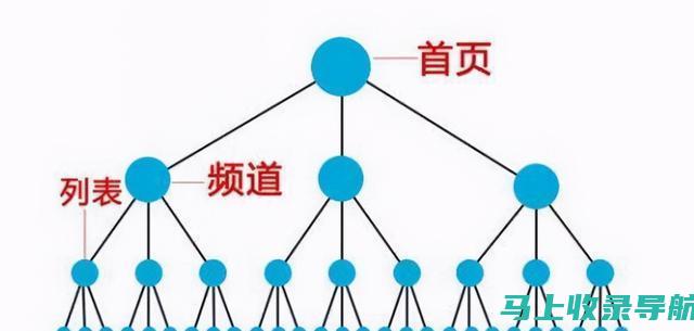 SEO进阶链接指南：从新手到专家，打造权威网站