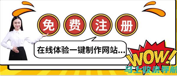 网站站长的分析和报告：跟踪网站性能和制定数据驱动策略