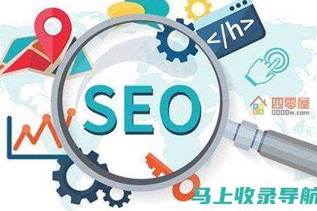 SEO 从零开始：初学者友好的循序渐进指南