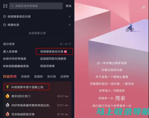 解锁抖音搜索排名奥秘：流量变现的制胜法宝