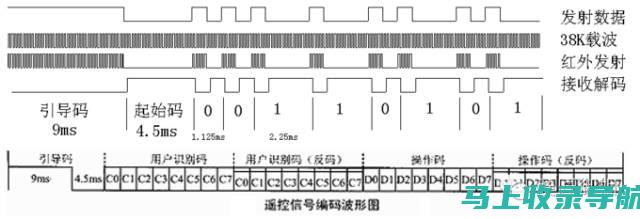 实战解码：SEO 网络营销案例的应用指南