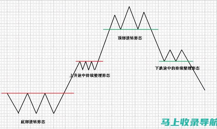 转化率巅峰：分析成功的 SEO 网络营销案例