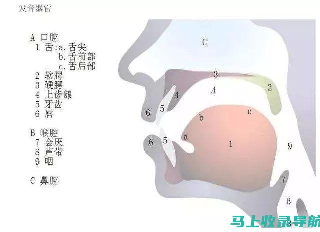 发音技巧：提升搜索引擎营销 (SEM) 和搜索引擎优化 (SEO) 发音的有效策略