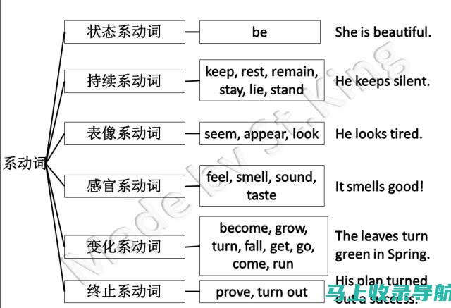 从动词到动词：分离与融合的辩证法