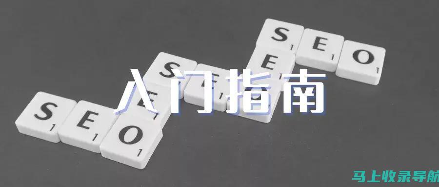 SEO 入门：发现为您提供基础知识的课程