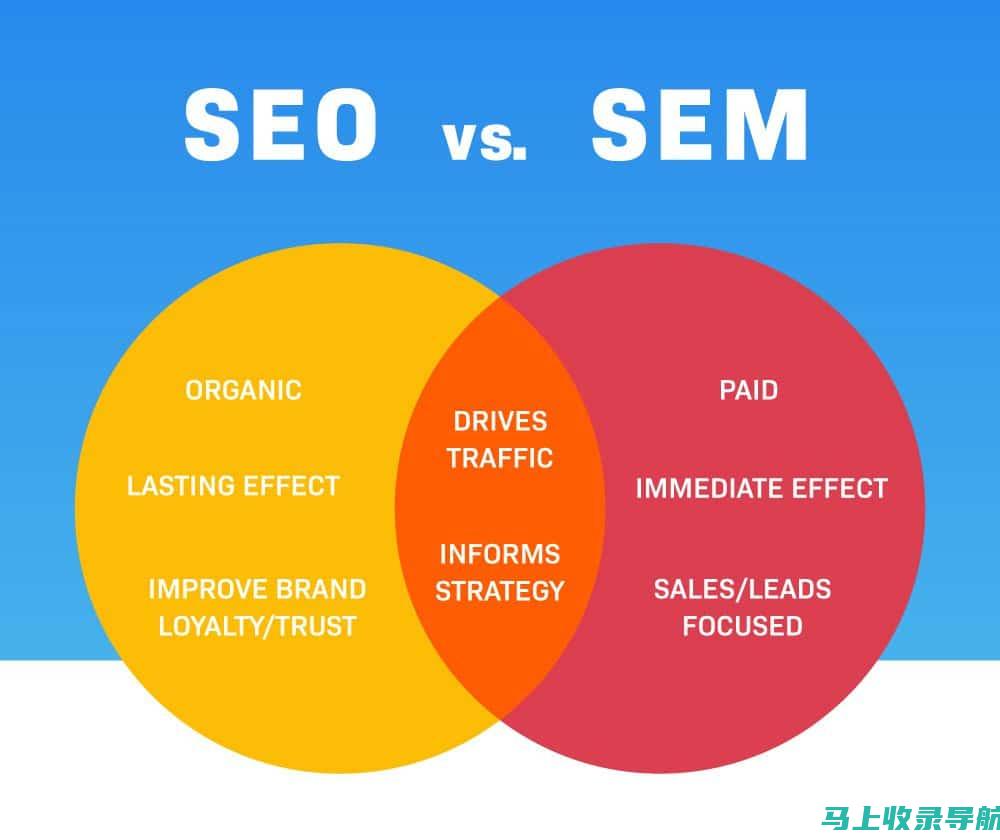 SEO vs. 推广：为您的独特业务需求选择最佳方法