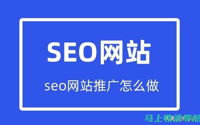 网络SEO推广入门：新手必读的终极指南