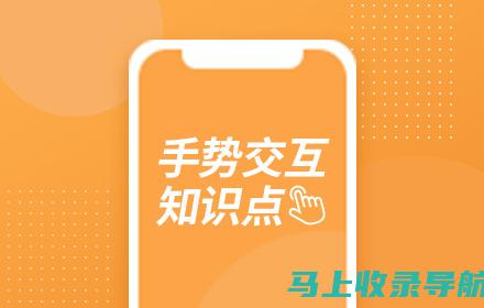 掌握您的在线形象：网站制作与设计领域的专家指导