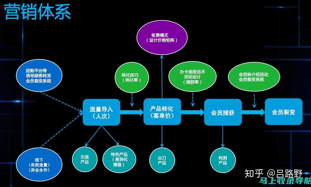 与其他营销团队合作：协调努力以实现整体营销目标