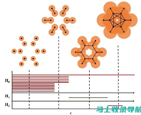 持续优化和调整：定期改进策略以适应不断变化的搜索环境