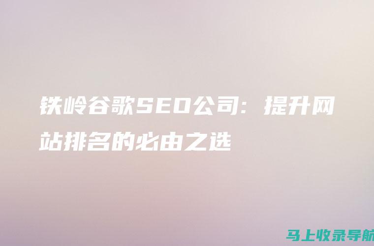 提升网站排名：获取谷歌 SEO 教程网盘中的专业见解