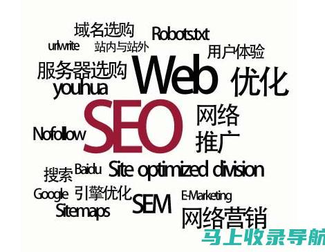 提高网站流量：谷歌 SEO 教程网盘中的数据驱动见解