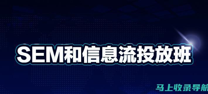 揭示SEO优化职业的秘密：长期的职业前景和增长潜力