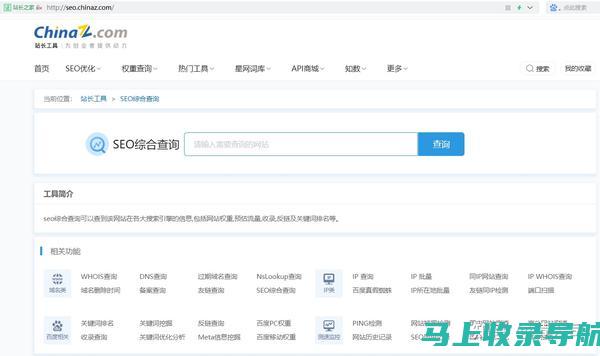 站长工具指南：一步一步查找网站信息