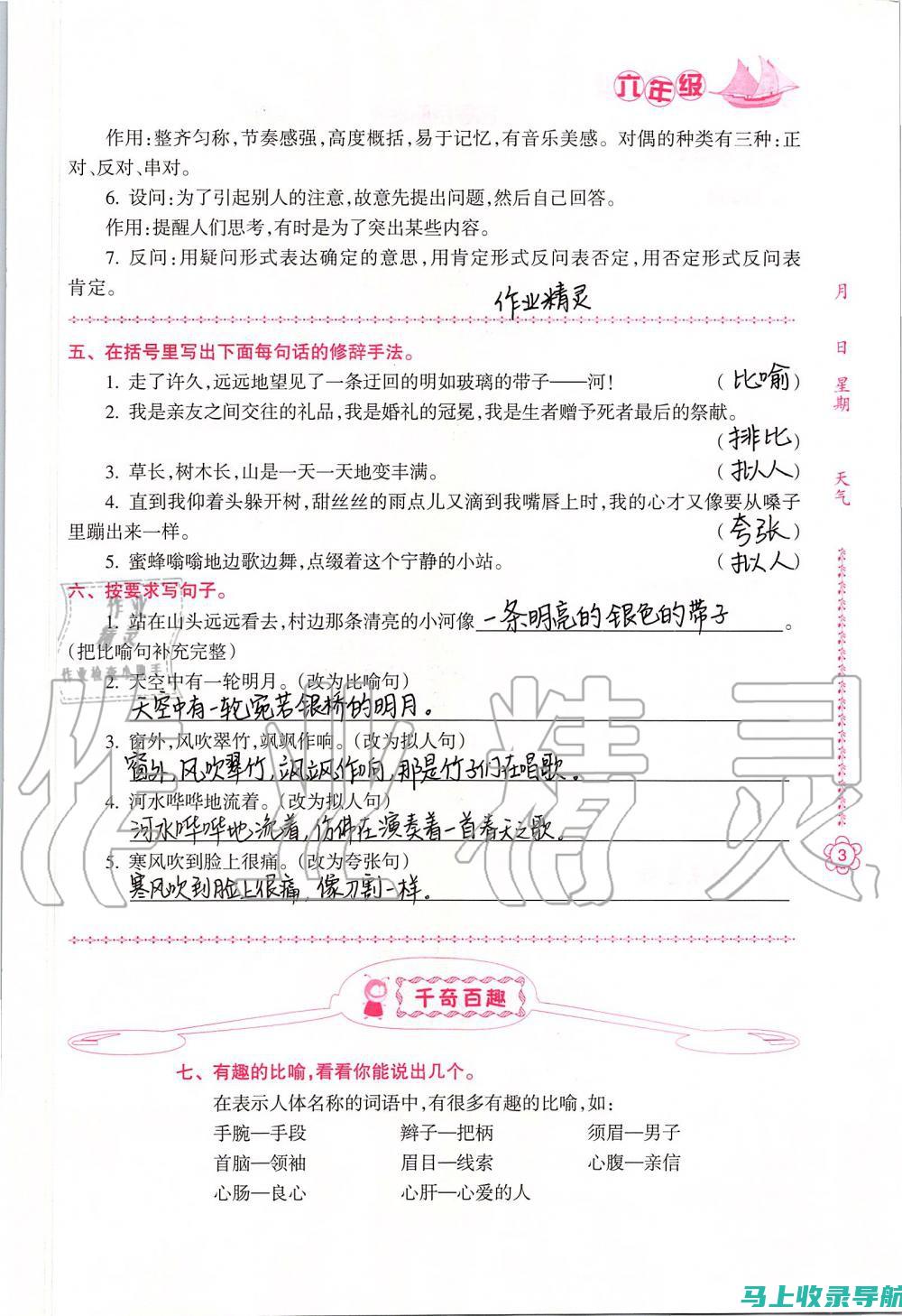 初学者指南：如何将图像完美地套用在网站模板上