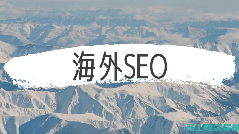 海外 SEO 白皮书：深入了解国际 SEO 的力量