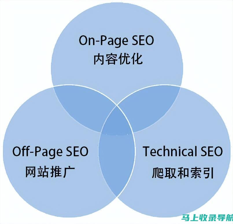 使用 SEO 技术增强短视频网页入口营销