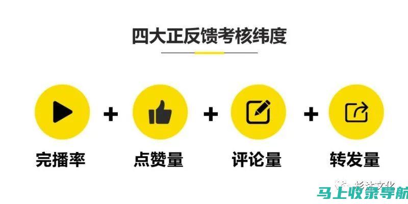 短视频搜索优化软件：您的视频成功之路的垫脚石