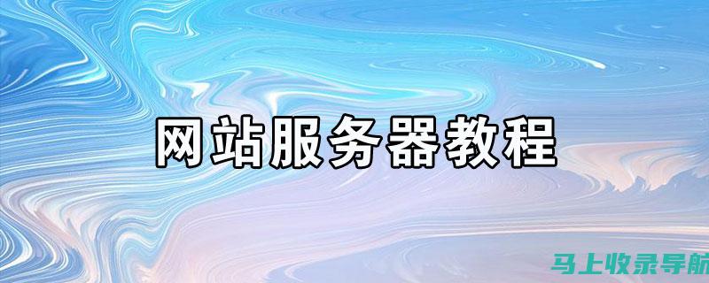 网站服务器选择 101：新手的完整指南