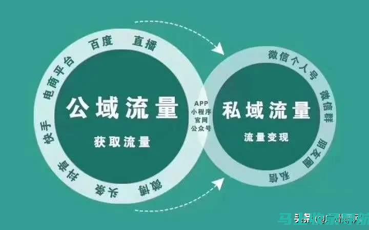 流量变现利器：深圳SEO服务助力企业获客增收