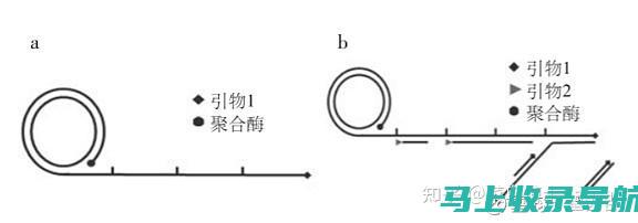 Sem 菜鸟速成指南：从零基础到精通搜索引擎营销