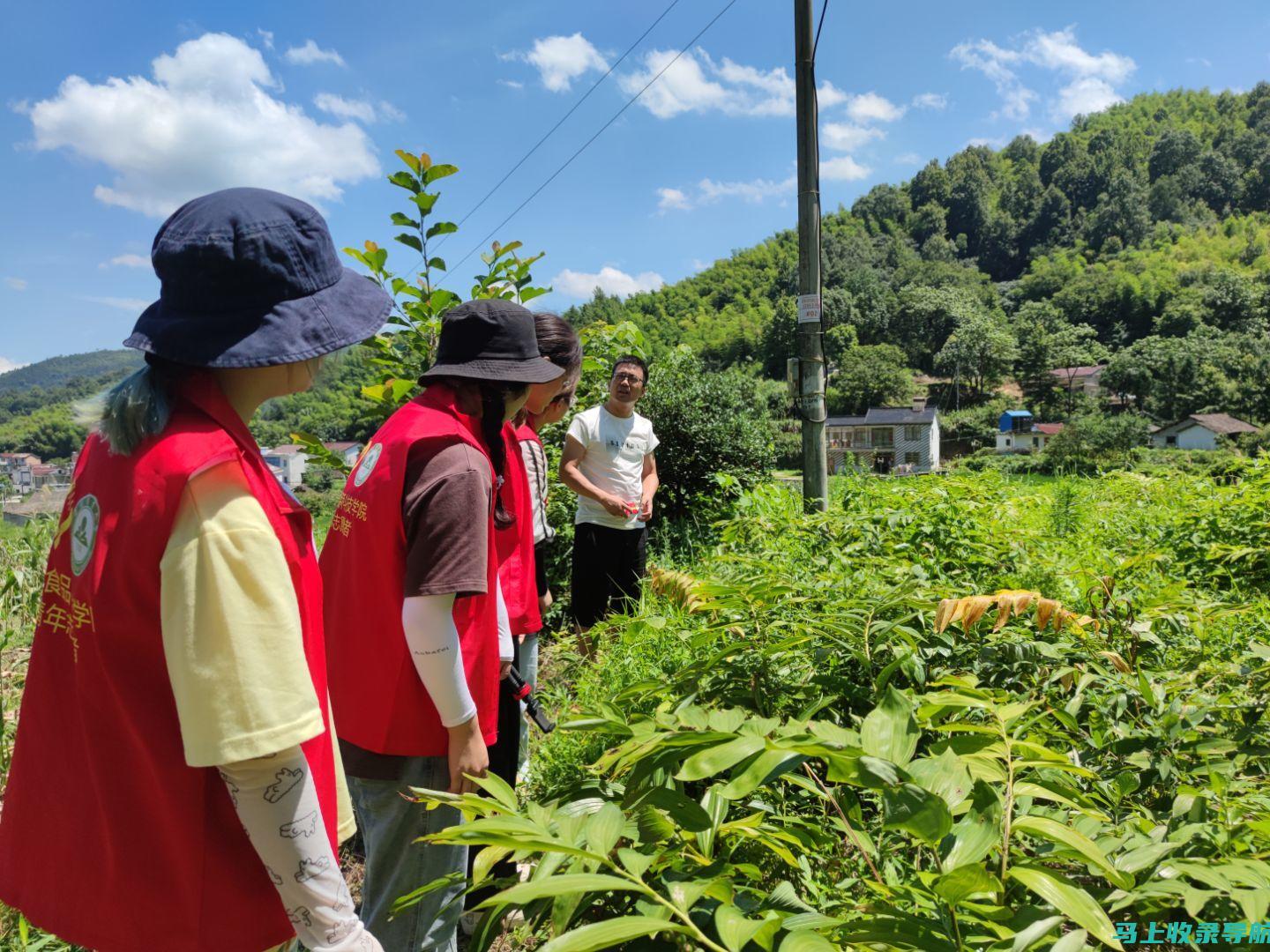 深入探究：乡镇安监站站长的行政级别与权责划分