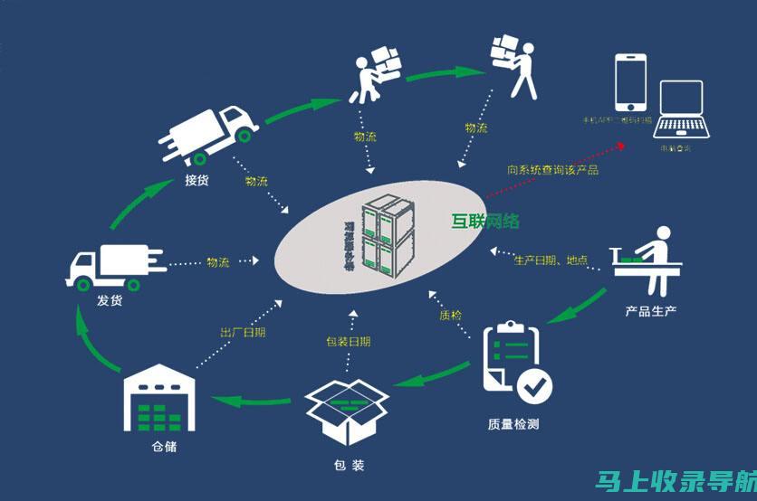 全面剖析 SEO 培训课程学费，助你投资明智