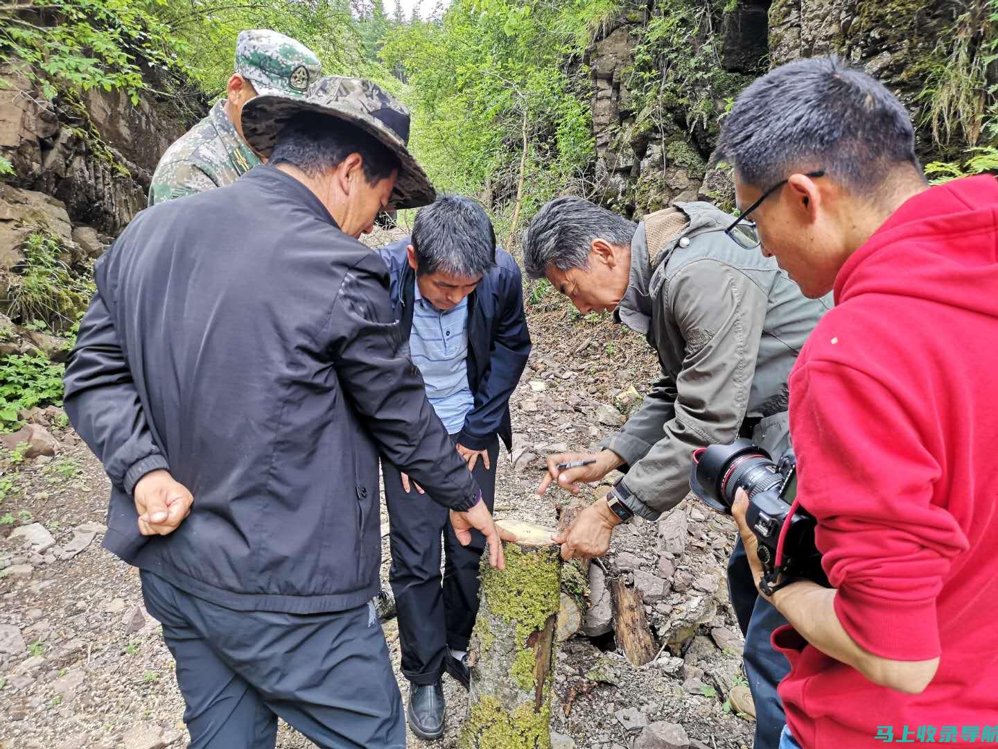 与王站长wzgz对话：获得网络营销领域专家的指导和建议