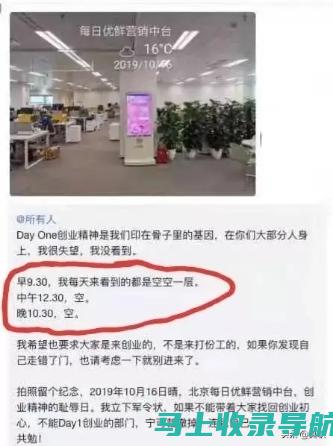 深入指南：在站长之家有效利用站内搜索引擎