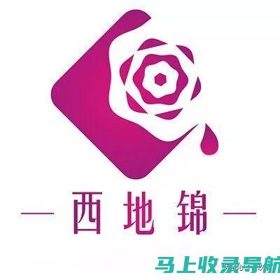 提升你的在线存在：谷歌 SEO 入门教程