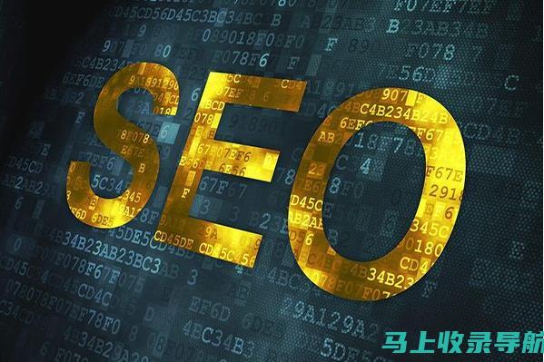 SEO 实战指南：初学者一步一步掌握优化