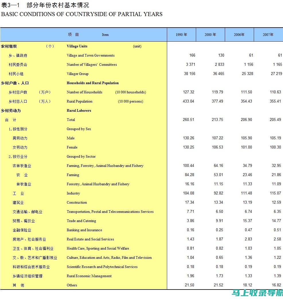 剖析乡镇统计站长等级：深入了解其行政职务