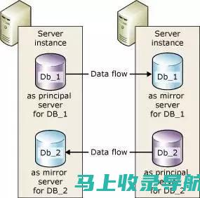 深入探索Seonary：揭开新一代搜索引擎的神秘面纱