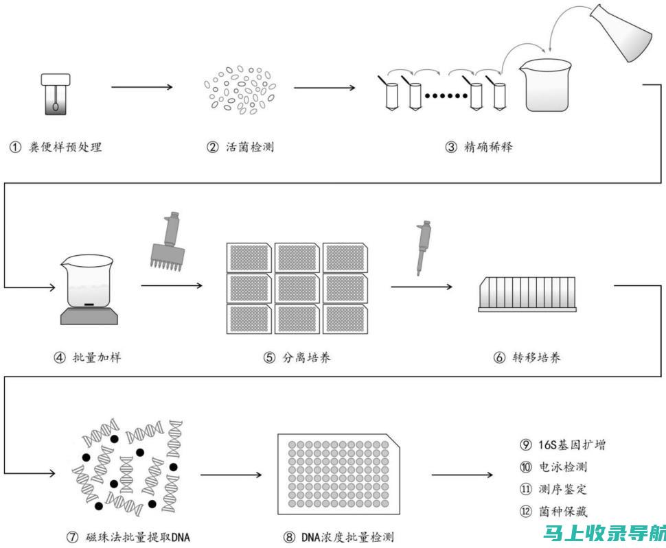 分离与环境：人与自然世界分离的后果