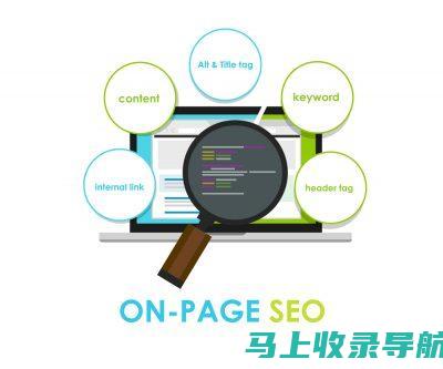 SEO 指南: 解锁数字营销的潜力并掌控网络能见度