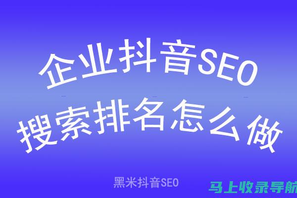 抖音 SEO 的价值：通过行业案例研究揭示其潜力