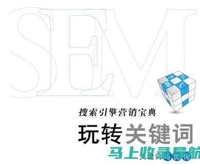 学习 SEM 与 SEO 的细微差别：提升您的数字营销技能