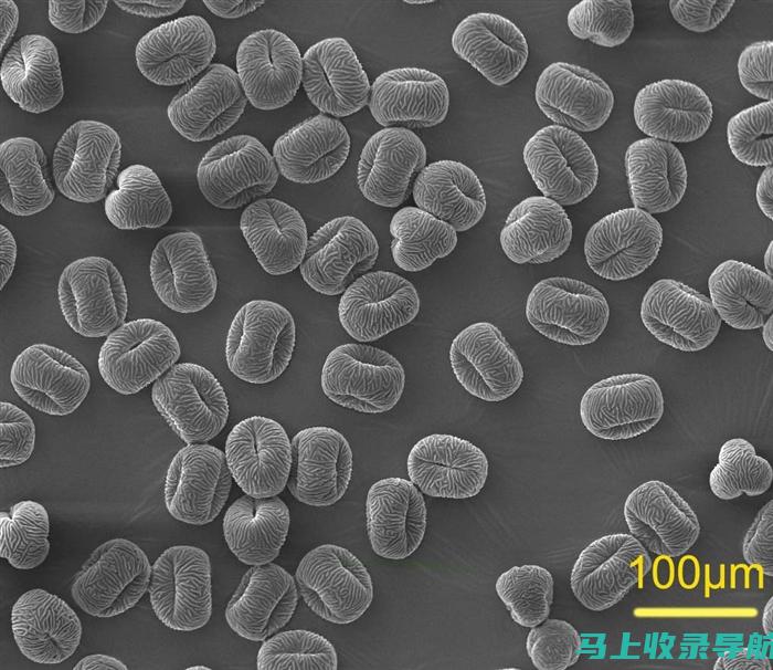 为 SEM 与 SEO 建立坚实的理论基础：理解其背后的科学