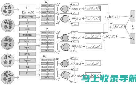 深入解析镇域经济：统计站长透视产业发展与就业趋势